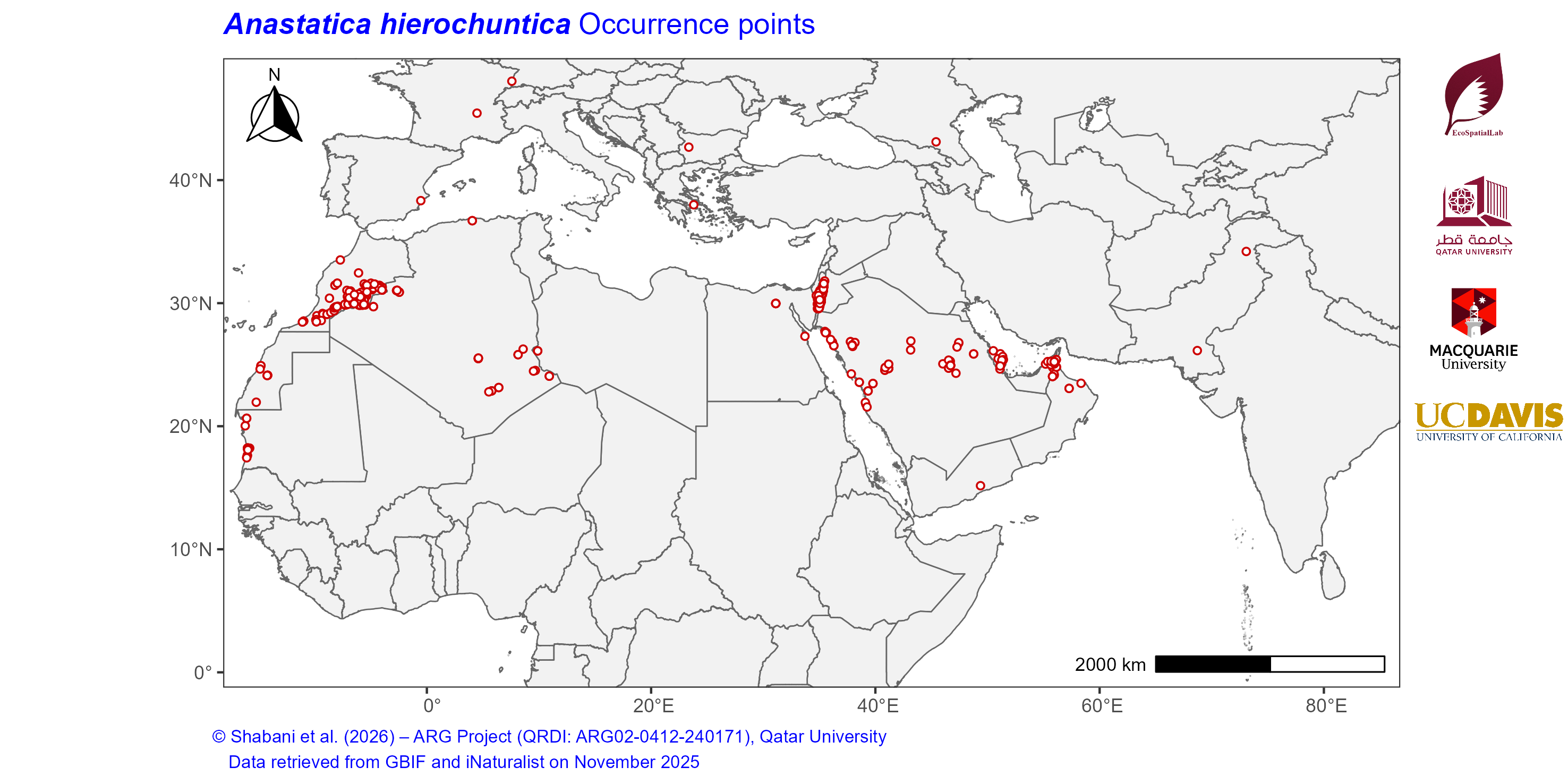 Occurrence Records across the Mediterranean–Middle East–North Africa Dryland Belt — Anastatica hierochuntica