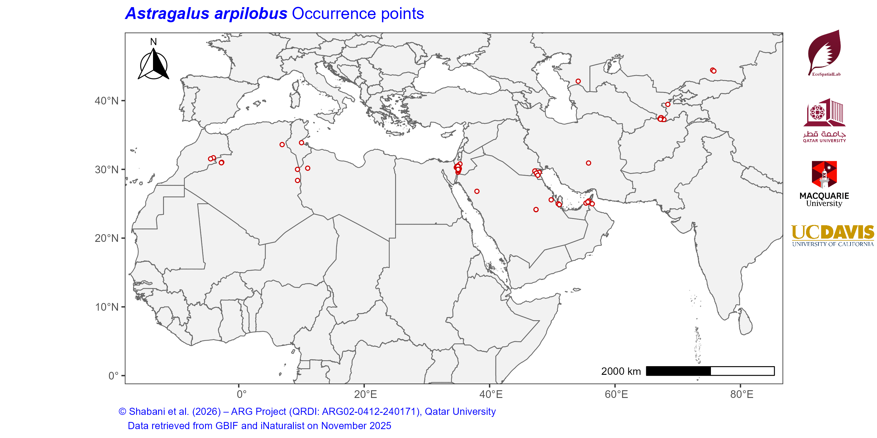 Occurrence Records across the Mediterranean–Middle East–North Africa Dryland Belt — Astragalus arpilobus