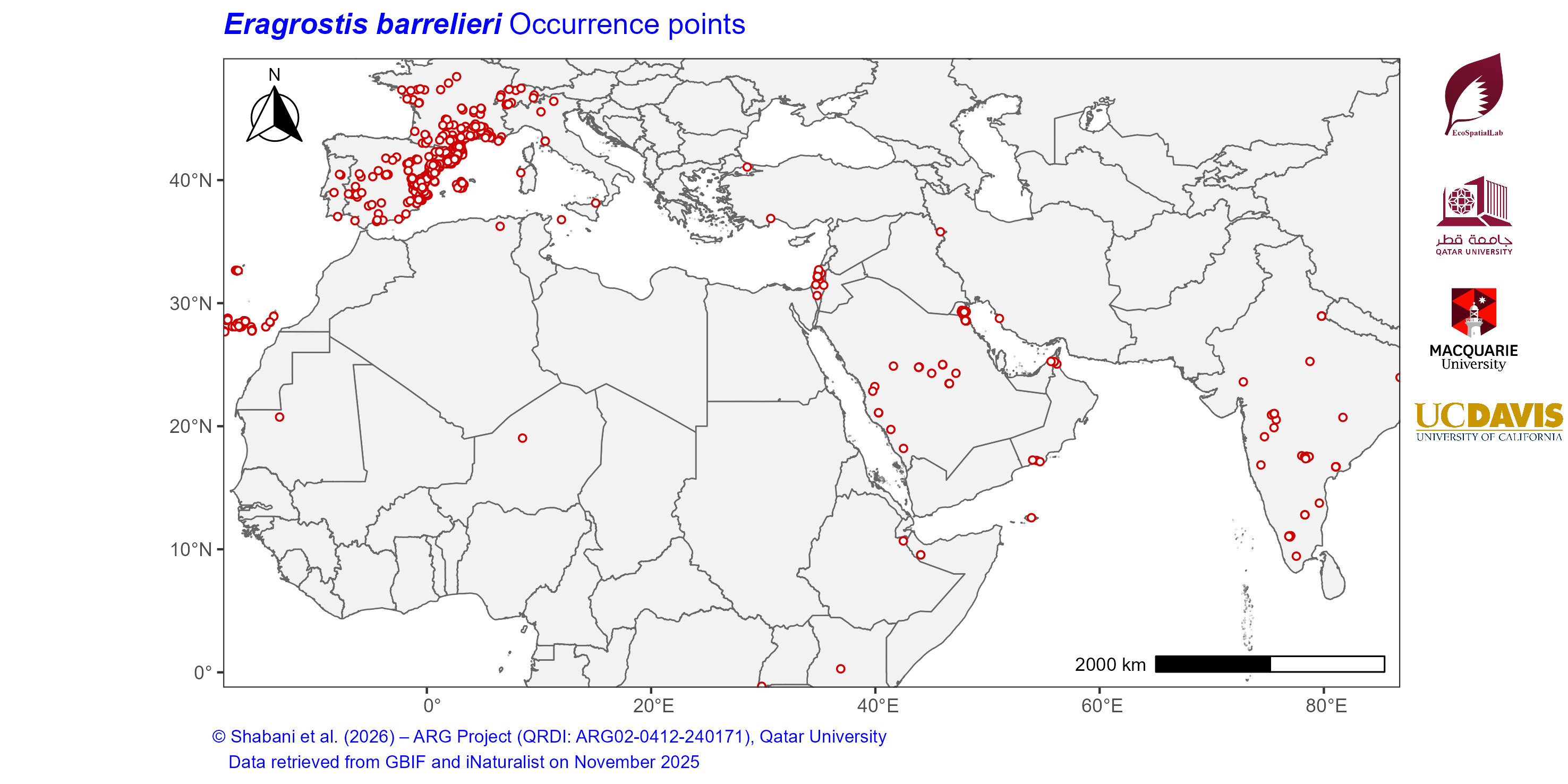 Occurrence Records across the Mediterranean–Middle East–North Africa Dryland Belt — Eragrostis barrelieri