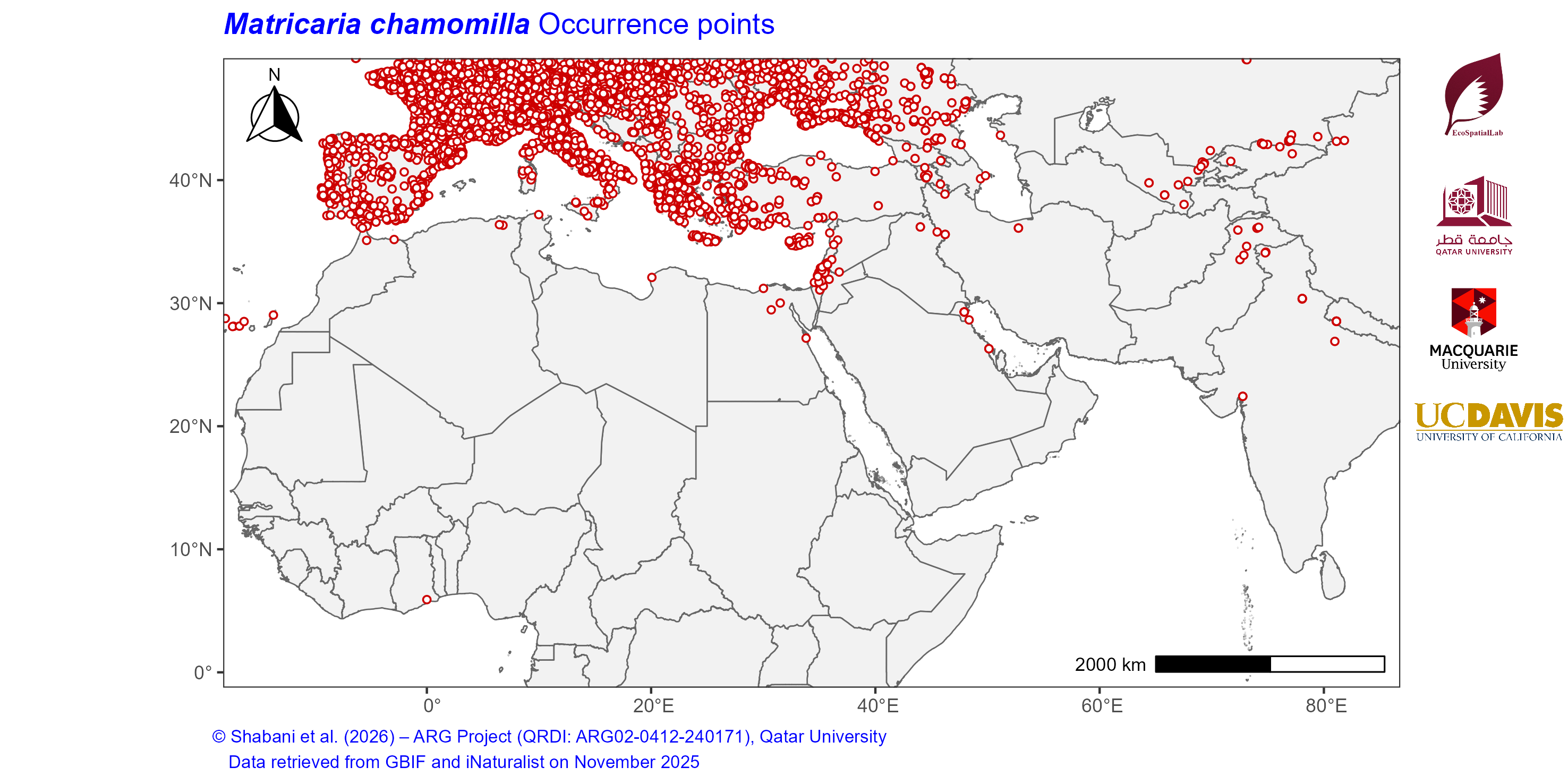 Occurrence Records across the Mediterranean–Middle East–North Africa Dryland Belt — Matricaria chamomilla