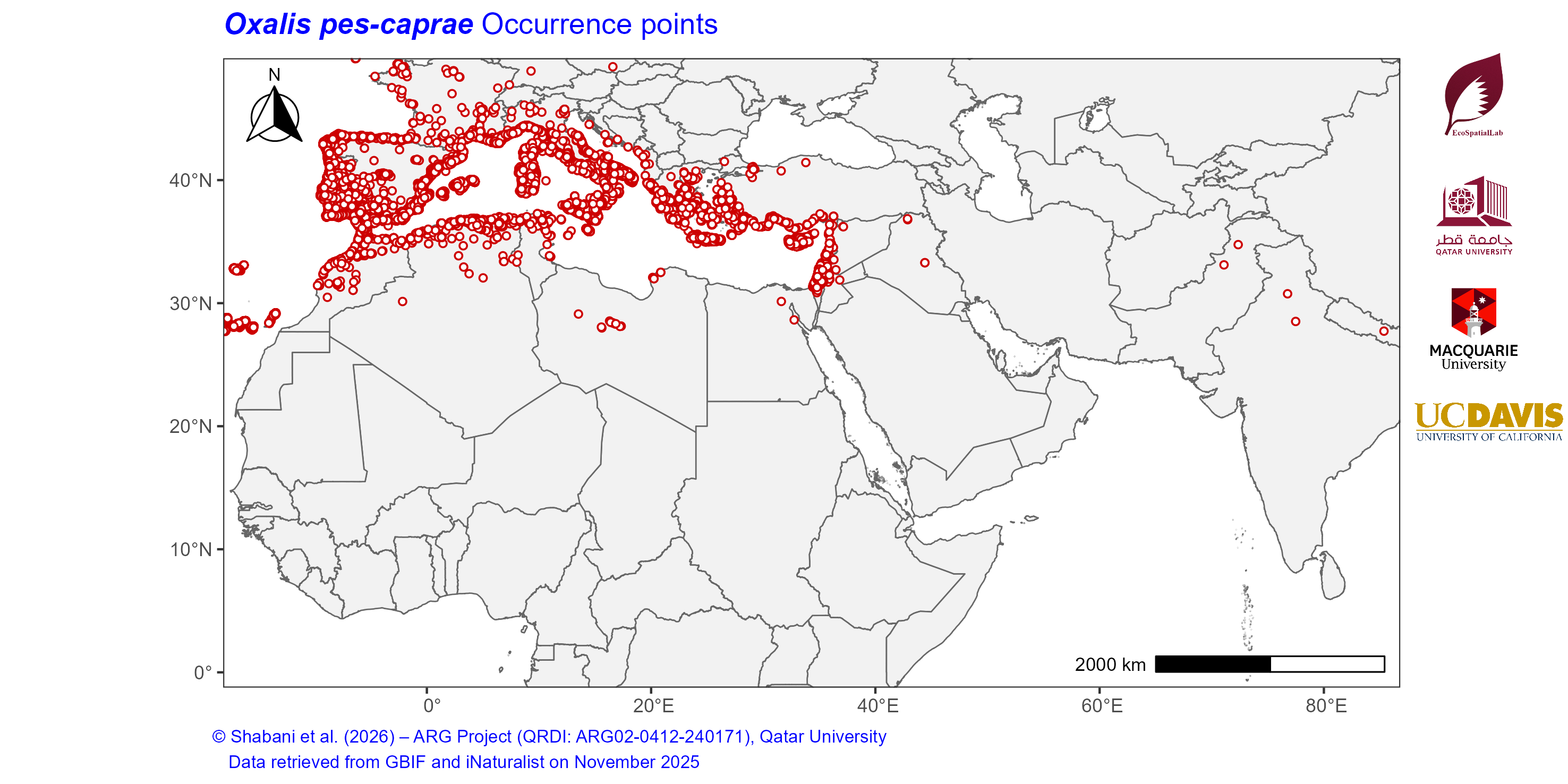 Occurrence Records across the Mediterranean–Middle East–North Africa Dryland Belt — Oxalis pes-caprae