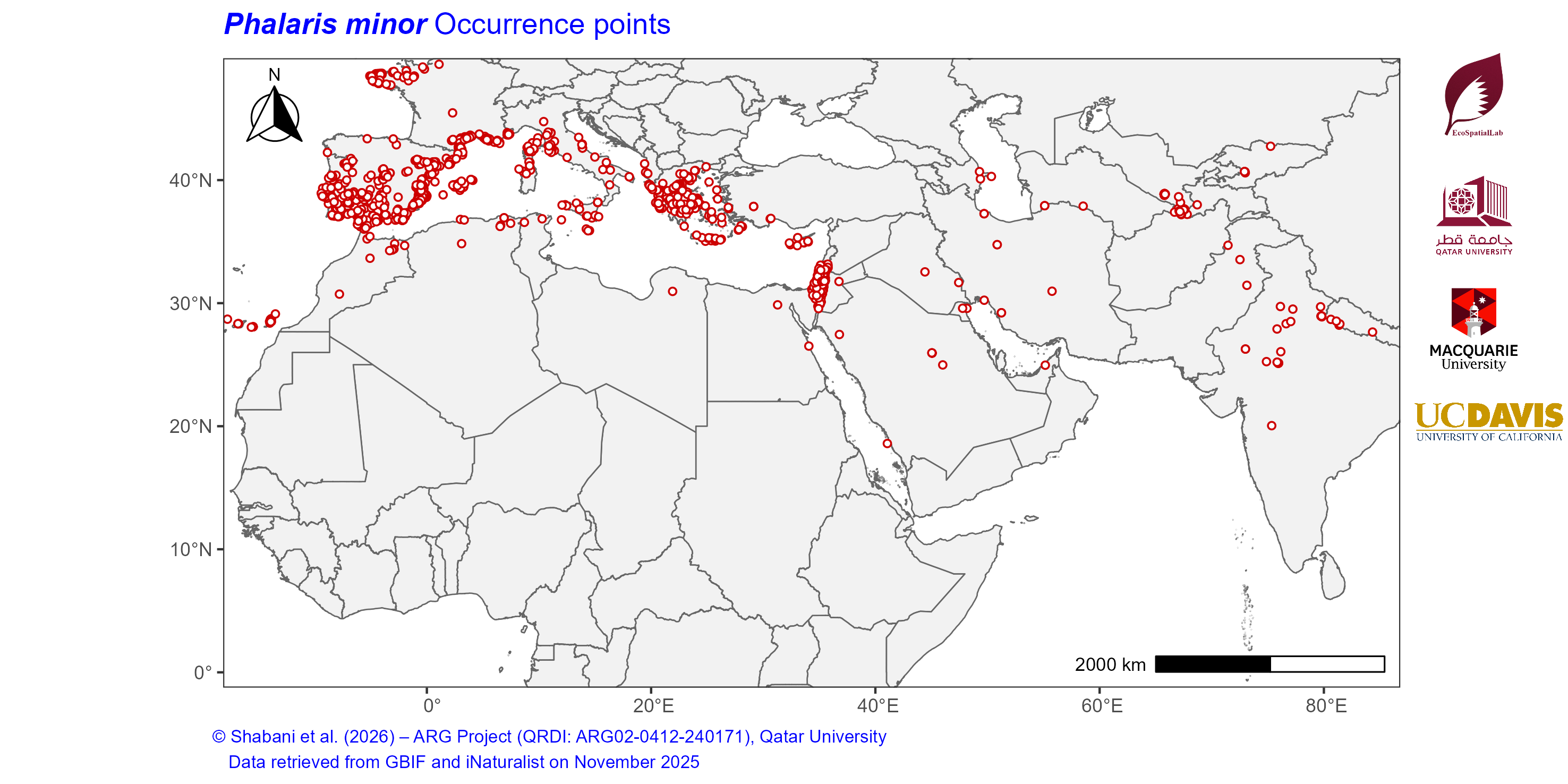 Occurrence Records across the Mediterranean–Middle East–North Africa Dryland Belt — Phalaris minor