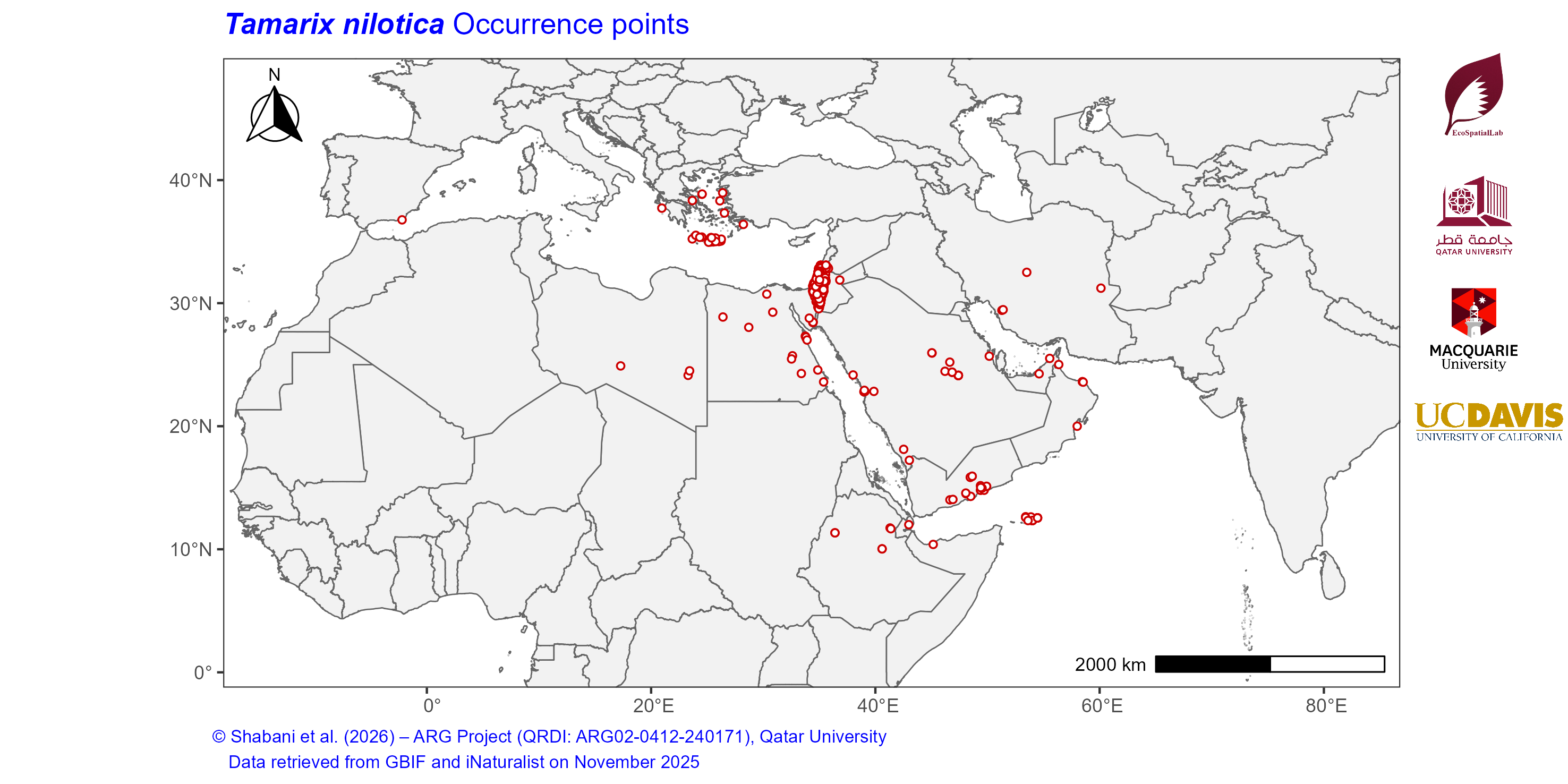 Occurrence Records across the Mediterranean–Middle East–North Africa Dryland Belt — Tamarix nilotica