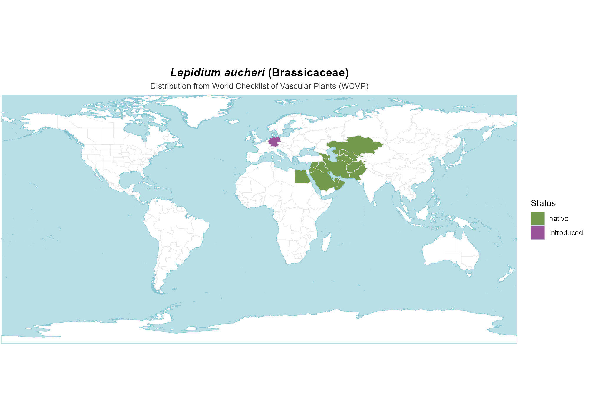 Origin Map — Lepidium aucheri