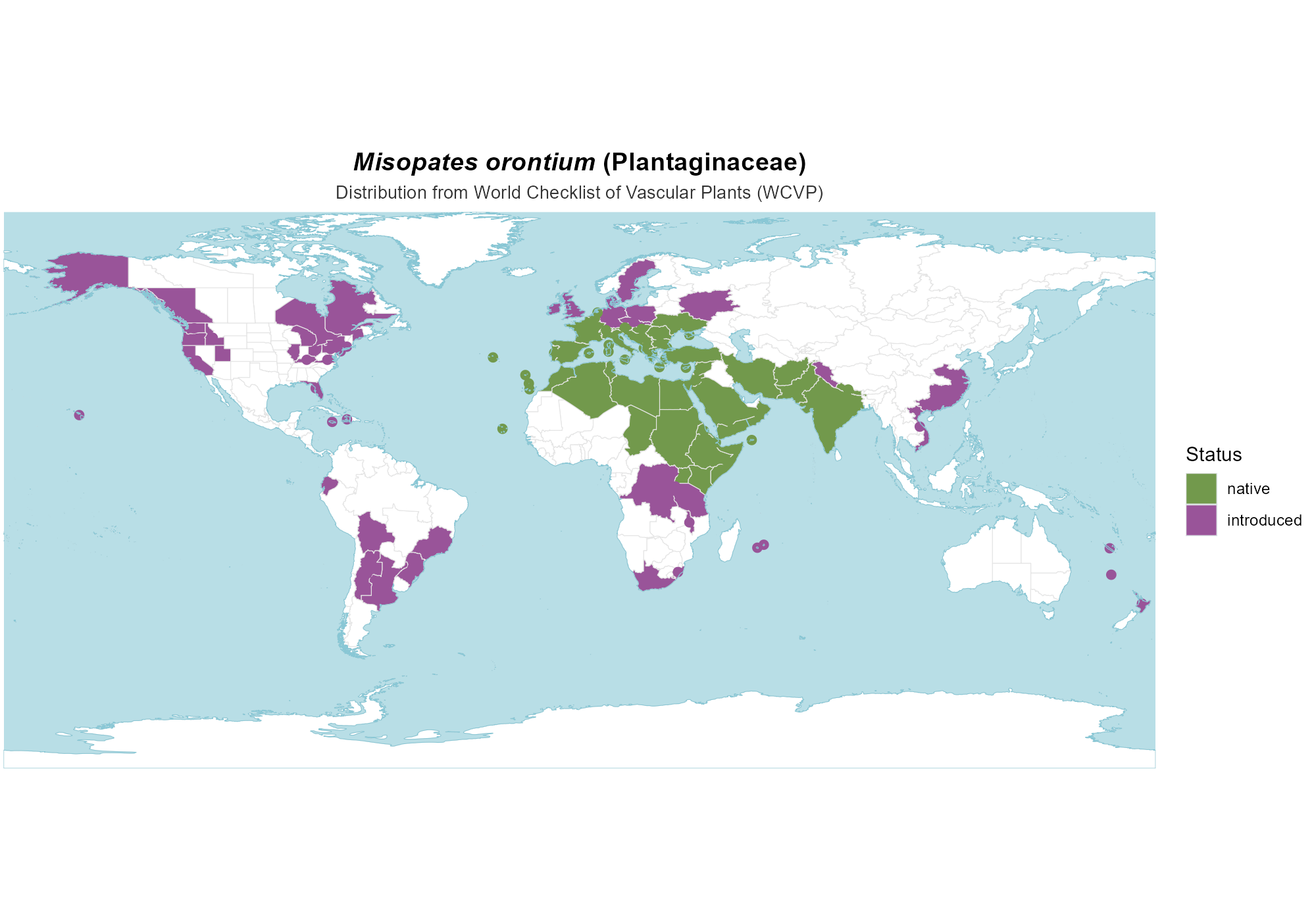 Origin Map — Misopates orontium