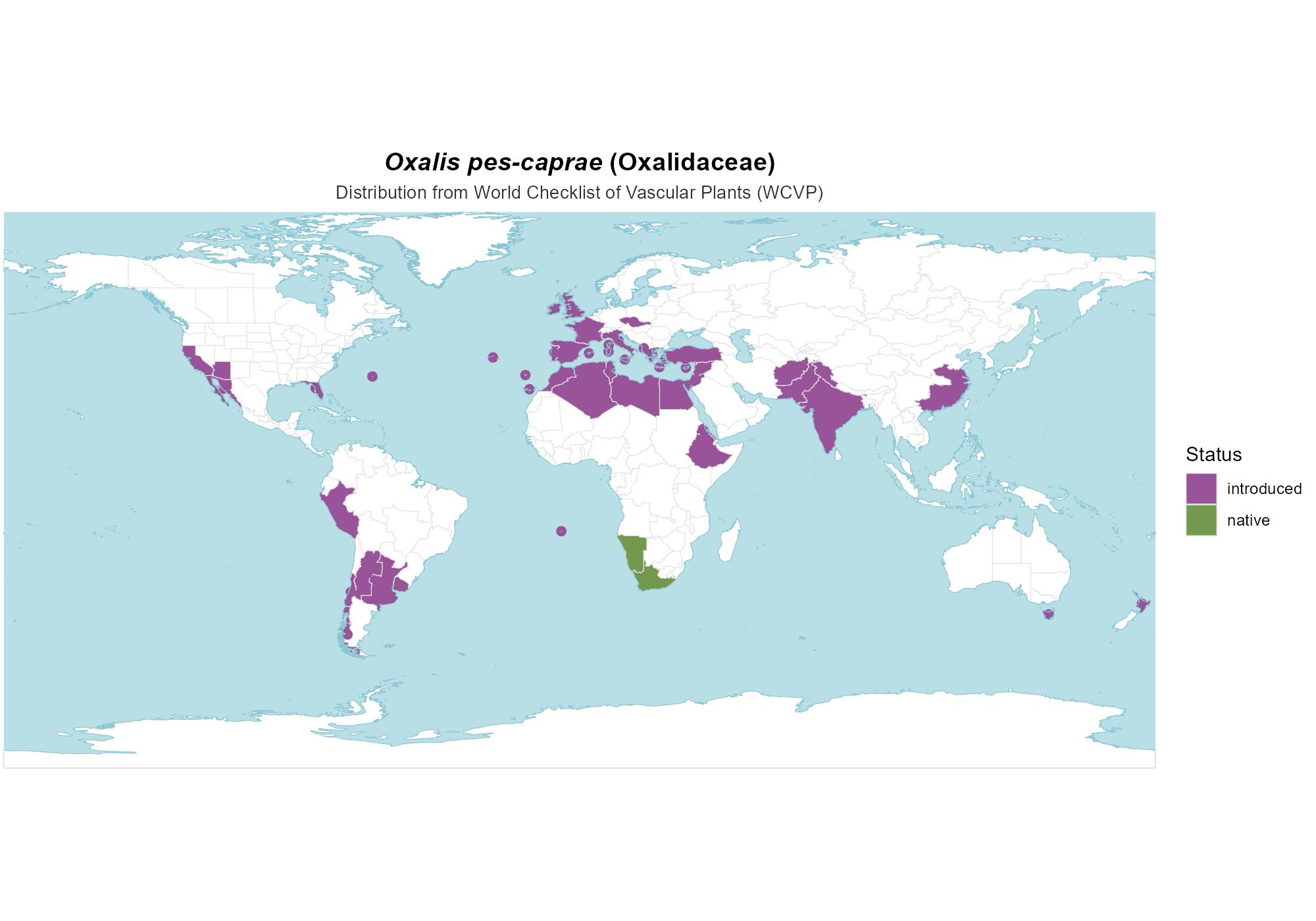 Origin Map — Oxalis pes-caprae