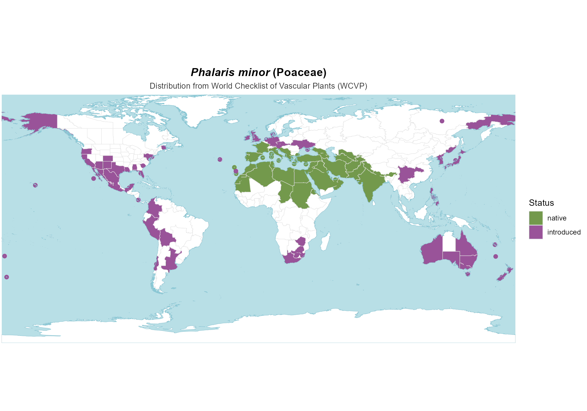 Origin Map — Phalaris minor