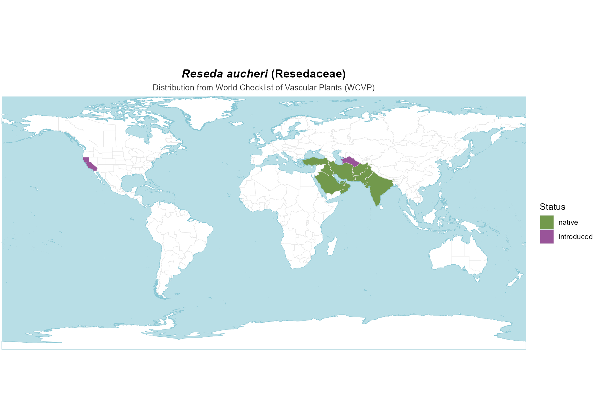 Origin Map — Reseda aucheri